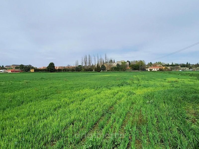 Finca rústica con casa, caballerizas y garaje de 20.000m2 junto la Aldehuela, Salamanca