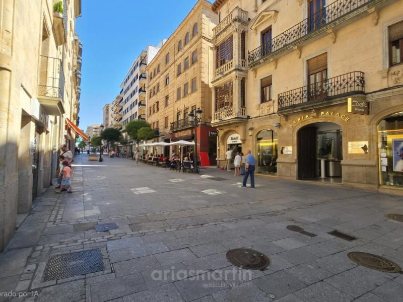 Piso de 1 habitación en alquiler en Centro, Salamanca en Centro